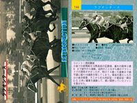 カード まとめ 競馬 サラブレッドカード 馬 マルブツセカイー チアヌザイレンス レイカランマン ヒカルリーファス ラフォーテス ノアノハコブネ ロングヒエン シャダイソフィア サクラスターホー サムネイル 6