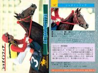カード まとめ 競馬 サラブレッドカード 馬 マルブツセカイー チアヌザイレンス レイカランマン ヒカルリーファス ラフォーテス ノアノハコブネ ロングヒエン シャダイソフィア サクラスターホー サムネイル 9