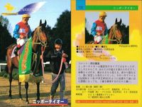 カード まとめ 競馬 サラブレッドカード 馬 マティリアル カリフソング ワンダーパヒューム カブラヤオー ハバネロプレディ ブロケード カシギエース ニホンピロウィナー シンボーディオー サムネイル 10