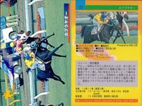 カード まとめ 競馬 サラブレッドカード 馬 マティリアル カリフソング ワンダーパヒューム カブラヤオー ハバネロプレディ ブロケード カシギエース ニホンピロウィナー シンボーディオー サムネイル 5