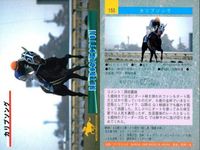 カード まとめ 競馬 サラブレッドカード 馬 マティリアル カリフソング ワンダーパヒューム カブラヤオー ハバネロプレディ ブロケード カシギエース ニホンピロウィナー シンボーディオー サムネイル 3