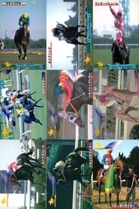 カード まとめ 競馬 サラブレッドカード 馬 マティリアル カリフソング ワンダーパヒューム カブラヤオー ハバネロプレディ ブロケード カシギエース ニホンピロウィナー シンボーディオー サムネイル 1