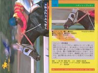 カード まとめ 競馬 サラブレッドカード 馬 マティリアル カリフソング ワンダーパヒューム カブラヤオー ハバネロプレディ ブロケード カシギエース ニホンピロウィナー シンボーディオー サムネイル 6