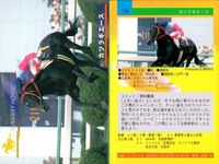 カード まとめ 競馬 サラブレッドカード 馬 マティリアル カリフソング ワンダーパヒューム カブラヤオー ハバネロプレディ ブロケード カシギエース ニホンピロウィナー シンボーディオー サムネイル 8