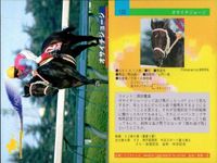 カード まとめ 競馬 サラブレッドカード 馬 オサイチジョージ イソノルーブル ミホノブルボン カネツクロス ツインターボ サクラランチャ テキサポン ブレストウコウ ロンズバーク サムネイル 2