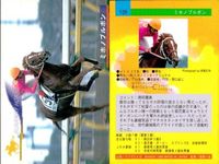 カード まとめ 競馬 サラブレッドカード 馬 オサイチジョージ イソノルーブル ミホノブルボン カネツクロス ツインターボ サクラランチャ テキサポン ブレストウコウ ロンズバーク サムネイル 4