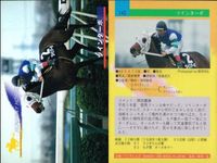カード まとめ 競馬 サラブレッドカード 馬 オサイチジョージ イソノルーブル ミホノブルボン カネツクロス ツインターボ サクラランチャ テキサポン ブレストウコウ ロンズバーク サムネイル 6
