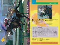 カード まとめ 競馬 サラブレッドカード 馬 オサイチジョージ イソノルーブル ミホノブルボン カネツクロス ツインターボ サクラランチャ テキサポン ブレストウコウ ロンズバーク サムネイル 5