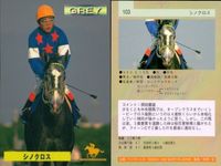 カード まとめ 競馬 サラブレッドカード 馬 ウィナーズサークル 105 シンクロス 103 タマモクロス 102 ホクトヘリオス 101 ホワイトストーン 121 オグリローマン シルバーハンド スダチーク ナイジャガー サムネイル 3