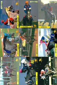 カード まとめ 競馬 サラブレッドカード 馬 ウィナーズサークル 105 シンクロス 103 タマモクロス 102 ホクトヘリオス 101 ホワイトストーン 121 オグリローマン シルバーハンド スダチーク ナイジャガー サムネイル 1