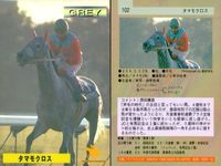 カード まとめ 競馬 サラブレッドカード 馬 ウィナーズサークル 105 シンクロス 103 タマモクロス 102 ホクトヘリオス 101 ホワイトストーン 121 オグリローマン シルバーハンド スダチーク ナイジャガー サムネイル 4