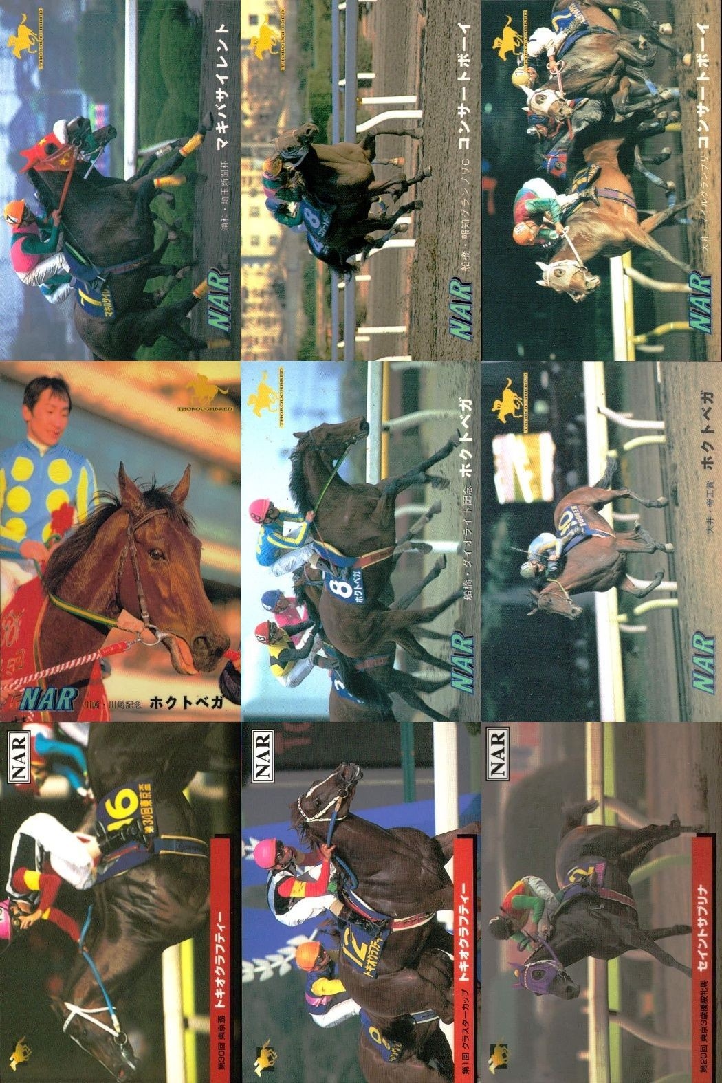 カード まとめ 競馬 サラブレッドカード 馬 マチカネサイレント 177 コンザートボーイ 169 カウトベガ 165 ダイタクヘリオス 171 ホリヘガ 183 トキオクラフティー 178 セイントサブリナ 186