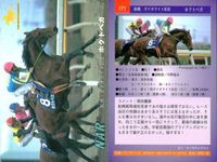 カード まとめ 競馬 サラブレッドカード 馬 マチカネサイレント 177 コンザートボーイ 169 カウトベガ 165 ダイタクヘリオス 171 ホリヘガ 183 トキオクラフティー 178 セイントサブリナ 186 サムネイル 6