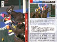 カード まとめ 競馬 サラブレッドカード 馬 マチカネサイレント 177 コンザートボーイ 169 カウトベガ 165 ダイタクヘリオス 171 ホリヘガ 183 トキオクラフティー 178 セイントサブリナ 186 サムネイル 9