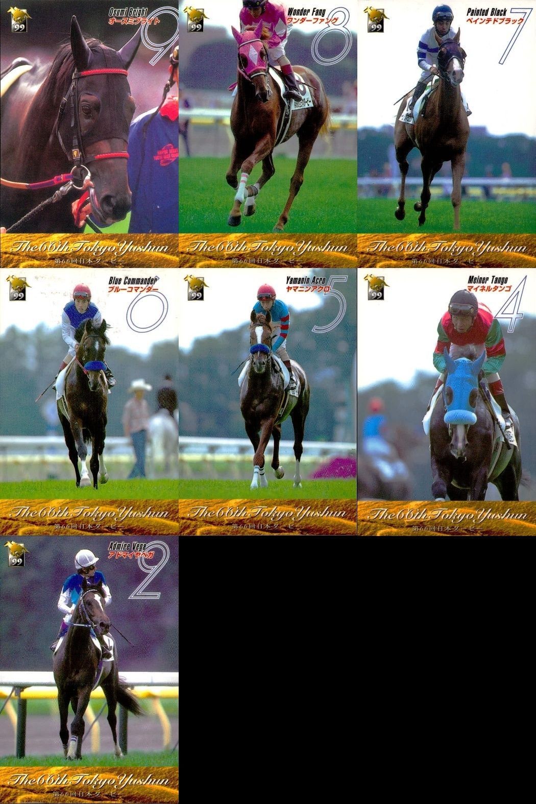 カード まとめ 競馬 サラブレッドカード 馬 第66回日本ダービー オースミブライト ワンダーファング ペインテッドブラック ブルーコマンダー ヤマニンアクロ マイネルタンゴ アドマイヤベガ