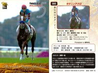 カード まとめ 競馬 サラブレッドカード 馬 第66回日本ダービー オースミブライト ワンダーファング ペインテッドブラック ブルーコマンダー ヤマニンアクロ マイネルタンゴ アドマイヤベガ サムネイル 6