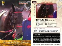 カード まとめ 競馬 サラブレッドカード 馬 第66回日本ダービー オースミブライト ワンダーファング ペインテッドブラック ブルーコマンダー ヤマニンアクロ マイネルタンゴ アドマイヤベガ サムネイル 2