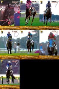 カード まとめ 競馬 サラブレッドカード 馬 第66回日本ダービー オースミブライト ワンダーファング ペインテッドブラック ブルーコマンダー ヤマニンアクロ マイネルタンゴ アドマイヤベガ サムネイル 1