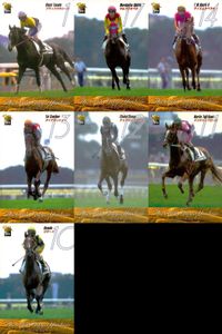 カード まとめ 競馬 サラブレッドカード 馬 第66回日本ダービー ブラックタキシード マルブツオペラ テイエムオペラオー タイクラッシャー チョウカイリョウガ ナリタトップロード ロサード サムネイル 1