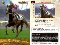 カード まとめ 競馬 サラブレッドカード 馬 第66回日本ダービー ブラックタキシード マルブツオペラ テイエムオペラオー タイクラッシャー チョウカイリョウガ ナリタトップロード ロサード サムネイル 7