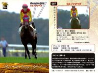 カード まとめ 競馬 サラブレッドカード 馬 第66回日本ダービー ブラックタキシード マルブツオペラ テイエムオペラオー タイクラッシャー チョウカイリョウガ ナリタトップロード ロサード サムネイル 3