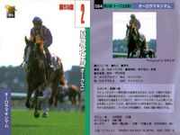 カード まとめ 競馬 サラブレッドカード 馬 オータムリーフ エガオヲミセテ パプティスタ オーロラマキシマム エアデジャヴー キングヘイロー タヤスアゲイン ウイニングブラック サムネイル 5