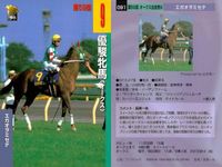 カード まとめ 競馬 サラブレッドカード 馬 オータムリーフ エガオヲミセテ パプティスタ オーロラマキシマム エアデジャヴー キングヘイロー タヤスアゲイン ウイニングブラック サムネイル 3