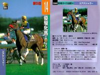 カード まとめ 競馬 サラブレッドカード 馬 オータムリーフ エガオヲミセテ パプティスタ オーロラマキシマム エアデジャヴー キングヘイロー タヤスアゲイン ウイニングブラック サムネイル 7