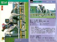 カード まとめ 競馬 サラブレッドカード 馬 オータムリーフ エガオヲミセテ パプティスタ オーロラマキシマム エアデジャヴー キングヘイロー タヤスアゲイン ウイニングブラック サムネイル 6