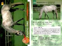 カード まとめ 競馬 サラブレッドカード 馬 ボールドエンペラー コダシャーン ダイール コマンダーインチーフ アーミジャー オペラハウス カンパラ メジロマックイーン イシノサンデー サムネイル 9