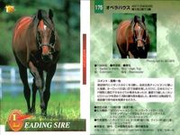 カード まとめ 競馬 サラブレッドカード 馬 ボールドエンペラー コダシャーン ダイール コマンダーインチーフ アーミジャー オペラハウス カンパラ メジロマックイーン イシノサンデー サムネイル 7