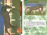 カード まとめ 競馬 サラブレッドカード 馬 ボールドエンペラー コダシャーン ダイール コマンダーインチーフ アーミジャー オペラハウス カンパラ メジロマックイーン イシノサンデー サムネイル 8