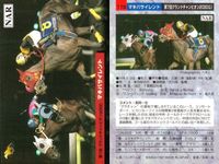 カード まとめ 競馬 サラブレッドカード 馬 マイバサイレント クイーンズチケット ビワハヤヒデ サクラバクシンオー ノースフライト ミホノブルボン ライスシャワー シンボリルドルフ ウメノチカラ マックスロゼ エアグルーヴ ハシノメガミ サムネイル 2