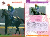 カード まとめ 競馬 サラブレッドカード 馬 マイバサイレント クイーンズチケット ビワハヤヒデ サクラバクシンオー ノースフライト ミホノブルボン ライスシャワー シンボリルドルフ ウメノチカラ マックスロゼ エアグルーヴ ハシノメガミ サムネイル 8