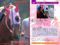 カード まとめ 競馬 サラブレッドカード 馬 マイバサイレント クイーンズチケット ビワハヤヒデ サクラバクシンオー ノースフライト ミホノブルボン ライスシャワー シンボリルドルフ ウメノチカラ マックスロゼ エアグルーヴ ハシノメガミ サムネイル 7