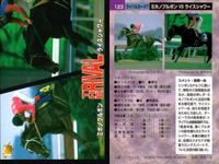 カード まとめ 競馬 サラブレッドカード 馬 マイバサイレント クイーンズチケット ビワハヤヒデ サクラバクシンオー ノースフライト ミホノブルボン ライスシャワー シンボリルドルフ ウメノチカラ マックスロゼ エアグルーヴ ハシノメガミ サムネイル 5