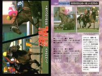 カード まとめ 競馬 サラブレッドカード 馬 マイバサイレント クイーンズチケット ビワハヤヒデ サクラバクシンオー ノースフライト ミホノブルボン ライスシャワー シンボリルドルフ ウメノチカラ マックスロゼ エアグルーヴ ハシノメガミ サムネイル 4