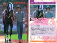 カード まとめ 競馬 サラブレッドカード 馬 マイバサイレント クイーンズチケット ビワハヤヒデ サクラバクシンオー ノースフライト ミホノブルボン ライスシャワー シンボリルドルフ ウメノチカラ マックスロゼ エアグルーヴ ハシノメガミ サムネイル 9