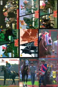 カード まとめ 競馬 サラブレッドカード 馬 マイバサイレント クイーンズチケット ビワハヤヒデ サクラバクシンオー ノースフライト ミホノブルボン ライスシャワー シンボリルドルフ ウメノチカラ マックスロゼ エアグルーヴ ハシノメガミ