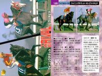 カード まとめ 競馬 サラブレッドカード 馬 マイバサイレント クイーンズチケット ビワハヤヒデ サクラバクシンオー ノースフライト ミホノブルボン ライスシャワー シンボリルドルフ ウメノチカラ マックスロゼ エアグルーヴ ハシノメガミ サムネイル 3