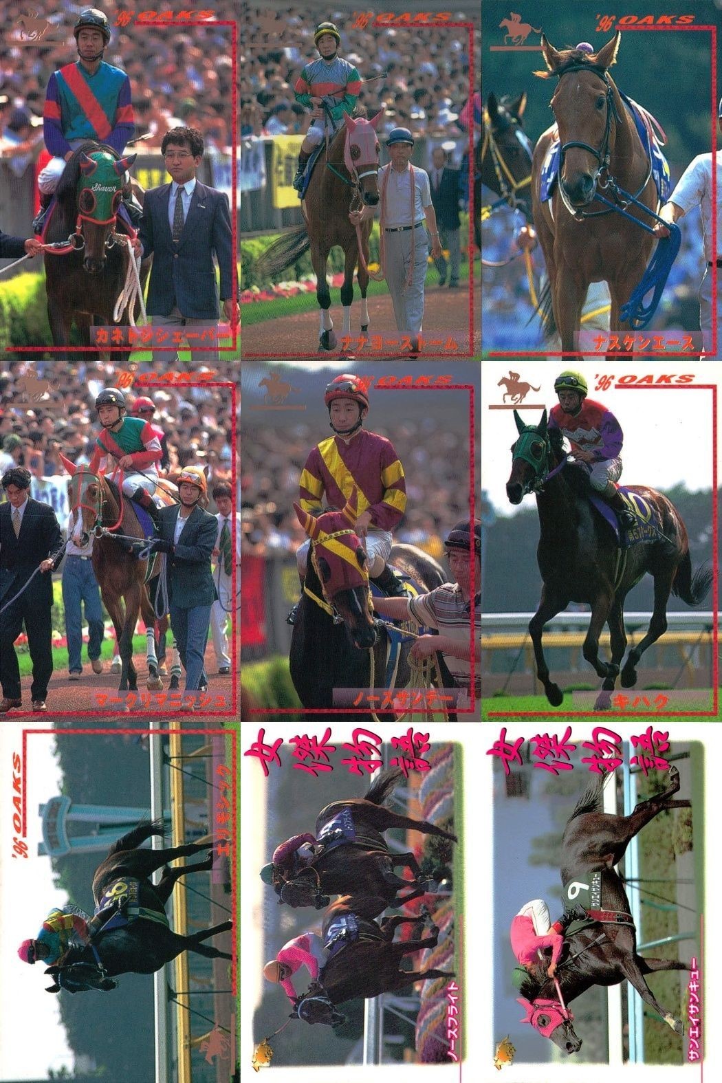 カード まとめ 競馬 サラブレッドカード 馬 カネトシシェーバー ナナヨーストーム ナスケイーズ マークリマミシュ ノースサンデー キハヅ エリモシック ノースフライト サンエイサンキュー