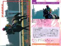 カード まとめ 競馬 サラブレッドカード 馬 カネトシシェーバー ナナヨーストーム ナスケイーズ マークリマミシュ ノースサンデー キハヅ エリモシック ノースフライト サンエイサンキュー サムネイル 8