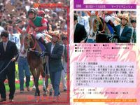 カード まとめ 競馬 サラブレッドカード 馬 カネトシシェーバー ナナヨーストーム ナスケイーズ マークリマミシュ ノースサンデー キハヅ エリモシック ノースフライト サンエイサンキュー サムネイル 5