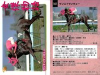 カード まとめ 競馬 サラブレッドカード 馬 カネトシシェーバー ナナヨーストーム ナスケイーズ マークリマミシュ ノースサンデー キハヅ エリモシック ノースフライト サンエイサンキュー サムネイル 10