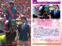 カード まとめ 競馬 サラブレッドカード 馬 カネトシシェーバー ナナヨーストーム ナスケイーズ マークリマミシュ ノースサンデー キハヅ エリモシック ノースフライト サンエイサンキュー サムネイル 2