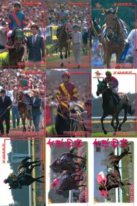 カード まとめ 競馬 サラブレッドカード 馬 カネトシシェーバー ナナヨーストーム ナスケイーズ マークリマミシュ ノースサンデー キハヅ エリモシック ノースフライト サンエイサンキュー サムネイル 1