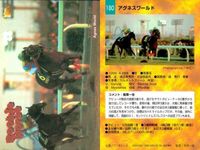 カード まとめ 競馬 サラブレッドカード 馬 レディステラ アイアムザプリンス ロードデアックス アインブライト キングヘイロー アグネスワールド エプソムダンディー ティオージャ シンコウシングラー サムネイル 7