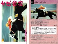 カード まとめ 競馬 サラブレッドカード 馬 イクノディクタス ダイイチルビー マックスビューティ シャダイソフィア ハギノトップレディ ヒシアマゾン ホクトベガ ヤマニントランザム キュンティア サムネイル 6
