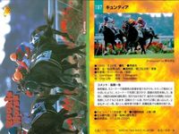 カード まとめ 競馬 サラブレッドカード 馬 イクノディクタス ダイイチルビー マックスビューティ シャダイソフィア ハギノトップレディ ヒシアマゾン ホクトベガ ヤマニントランザム キュンティア サムネイル 10