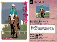 カード まとめ 競馬 サラブレッドカード 馬 イクノディクタス ダイイチルビー マックスビューティ シャダイソフィア ハギノトップレディ ヒシアマゾン ホクトベガ ヤマニントランザム キュンティア サムネイル 2